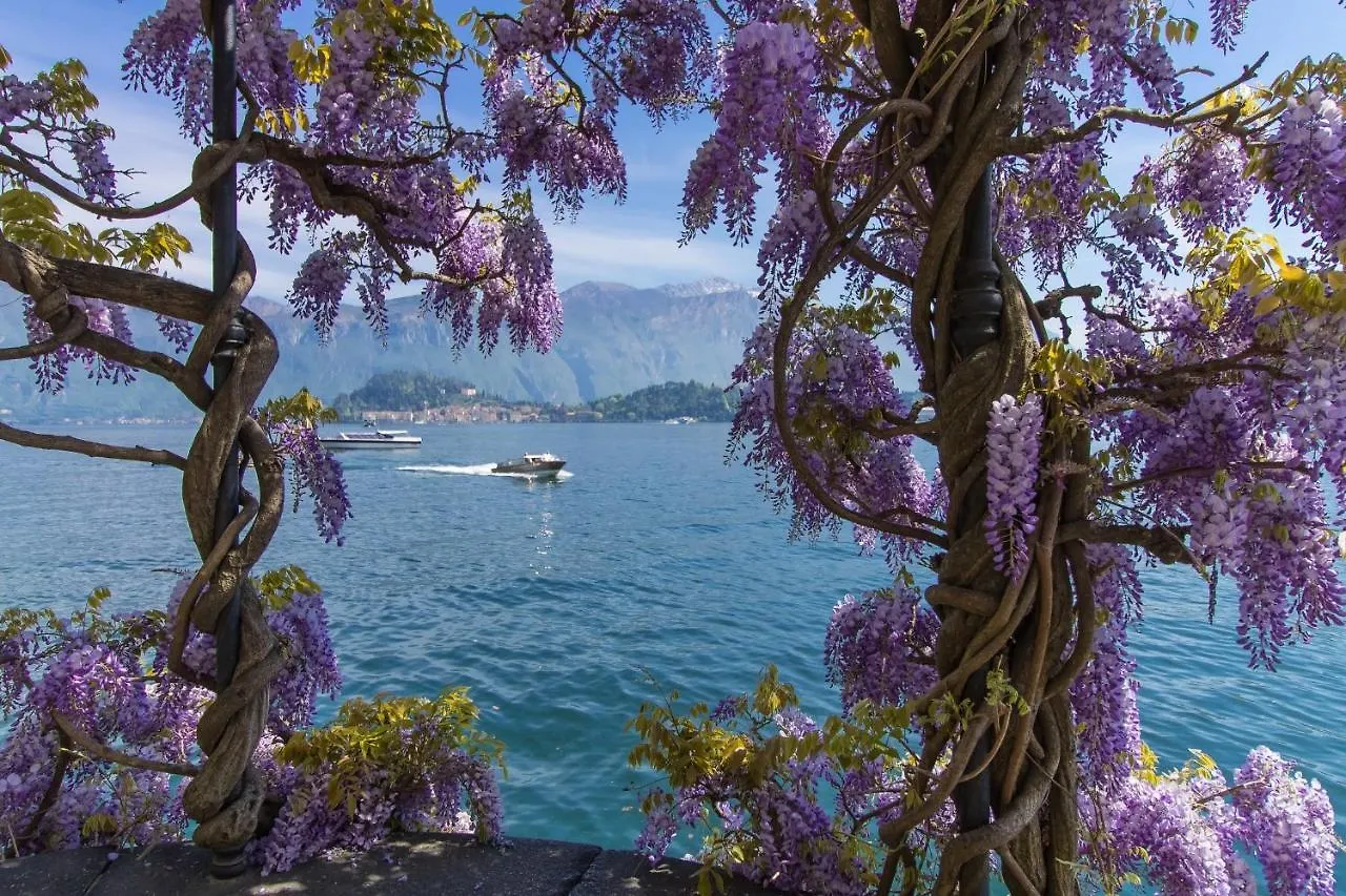 Garibaldi Lake View Apartments San Siro